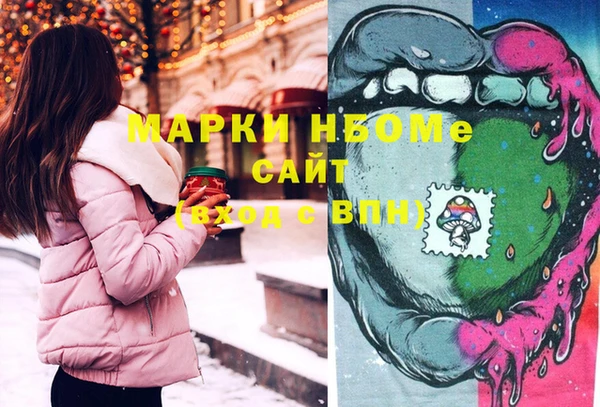 стафф Алзамай