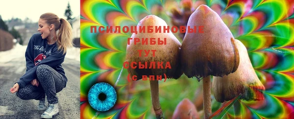 герыч Алексеевка